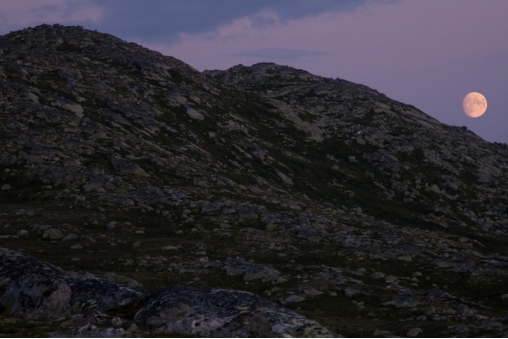 gaustatoppen
