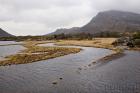 ring-of-kerry-mimo-pory-roku-luty-nazwa-zielona-wyspa-dobrze-okresla-to-co-mozna-spotkac-w-gorach-irlandii