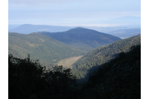 dolina-malej-laki-i-wielka-polana-w-dole