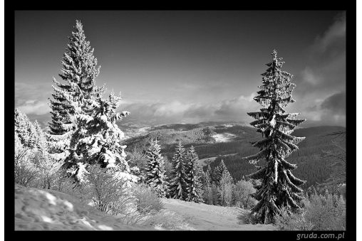 widok-spod-stozka