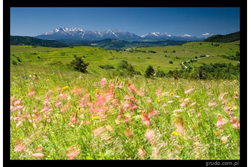 widok-na-tatry