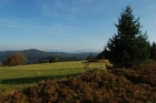 potrojna