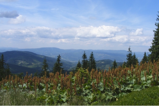 widok-na-beskid-slaski-nieco-przygarbiona-na-horyzoncie-barania-gora