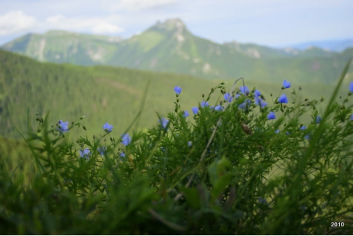 giewont