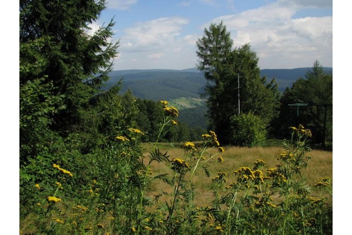 beskid-niski