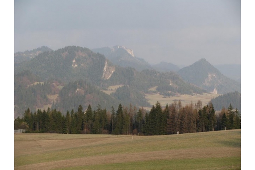 pieniny-czorsztynskie