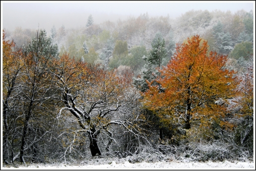 beskid-niski-pierwszy-atak-zimy