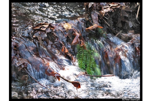 jesien-powoli-odplywa