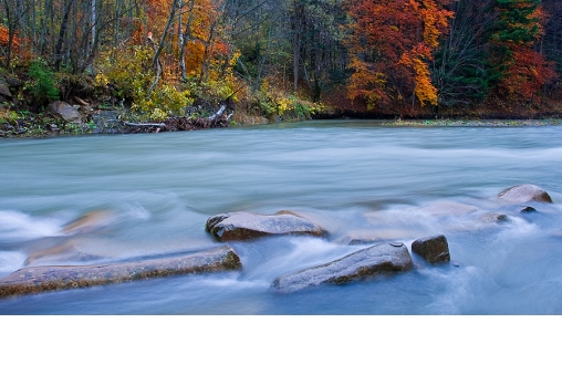 rezerwat-siny-wiry-w-bieszczadach