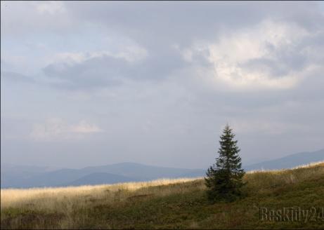 jesien-na-hali-miziowej-beskid-zywiecki