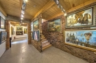 muzeum