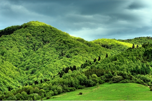 beskidy-wiosna