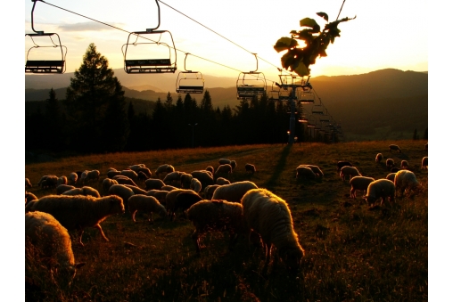 spieszmy-sie-kochac-beskid-tak-szybko-sie-zmienia