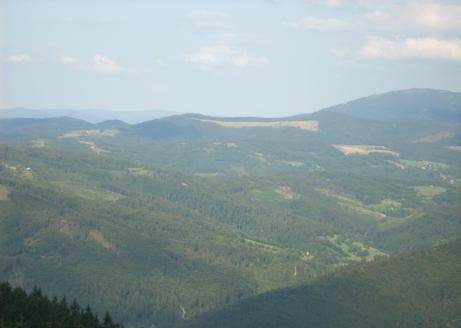 panorama-z-wierzy-widokowej-