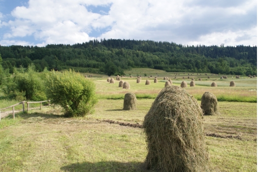 beskid-z-oczu-rolnika