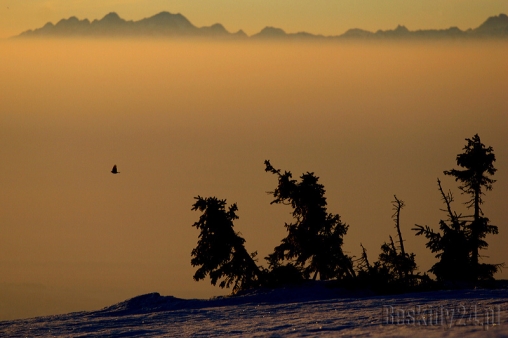 tatry-z-pilska