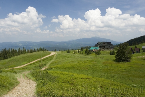 hala-miziowa-1300-mnpm-beskid-zywiecki-schronisko-pttk-i-babia-gora-w-tle