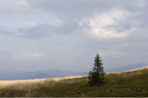 jesien-na-hali-miziowej-beskid-zywiecki