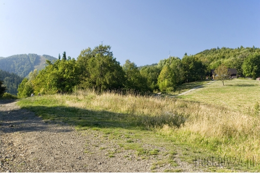 polana-pod-debowcem-w-tle-z-lewej-strony-stoki-szyndzielni-beskid-slaski