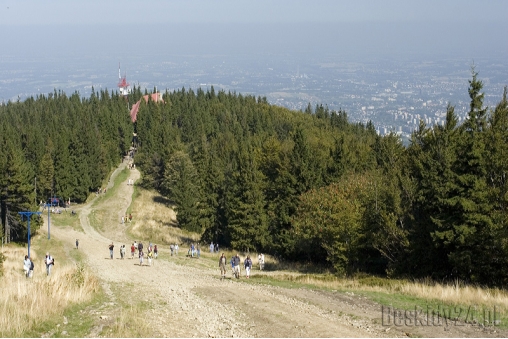 hala-kamienicka-beskid-slaski