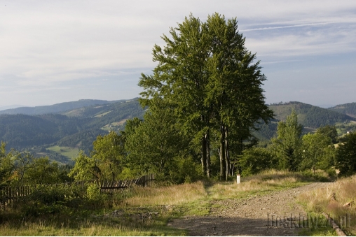 okolice-przeleczy-beskidek-beskid-slaski