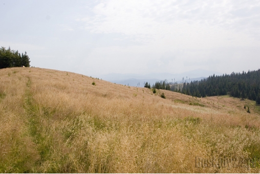 hala-radziechowska-beskid-slaski