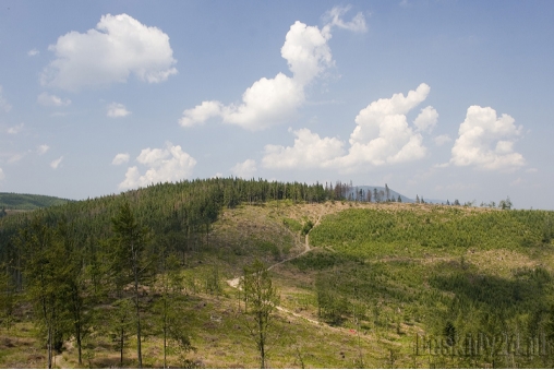 polana-cebula-beskid-slaski