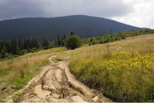 romanka-z-hali-kupczykowej-beskid-zywiecki