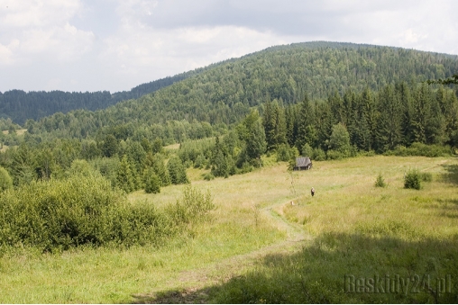 przelecz-polgorska-w-tle-jaworzyna-1047-beskid-zywiecki