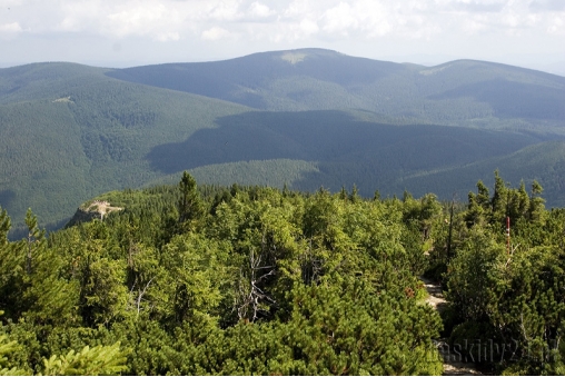 okolice-kepy-1521m-w-masywie-babiej-gory-w-tle-polica-beskid-zywiecki