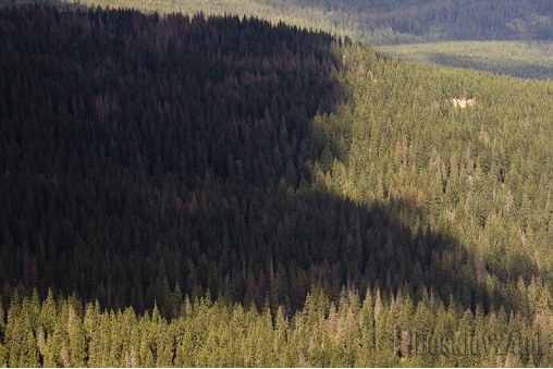 nad-markowe-szczawiny-nadciagaja-ciemne-chmury-beskid-zywiecki