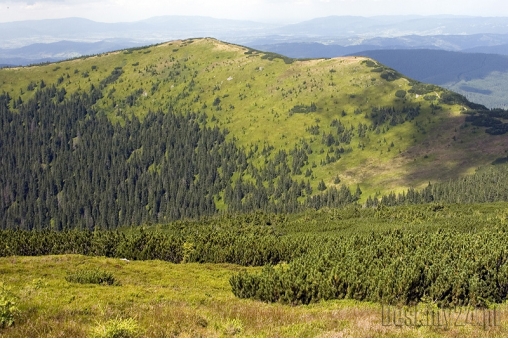 mala-babia-gora-1515m-beskid-zywiecki