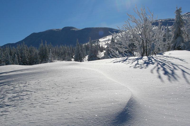 Babia Góra na skitourach