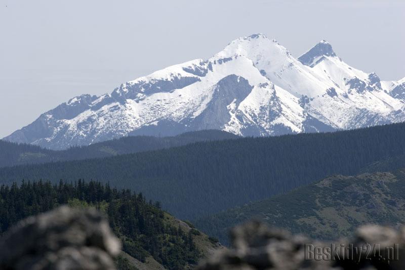 Cepry zadeptały Tatry i wyjechały do domu Cepry zadeptały Tatry i wyjechały do domu
