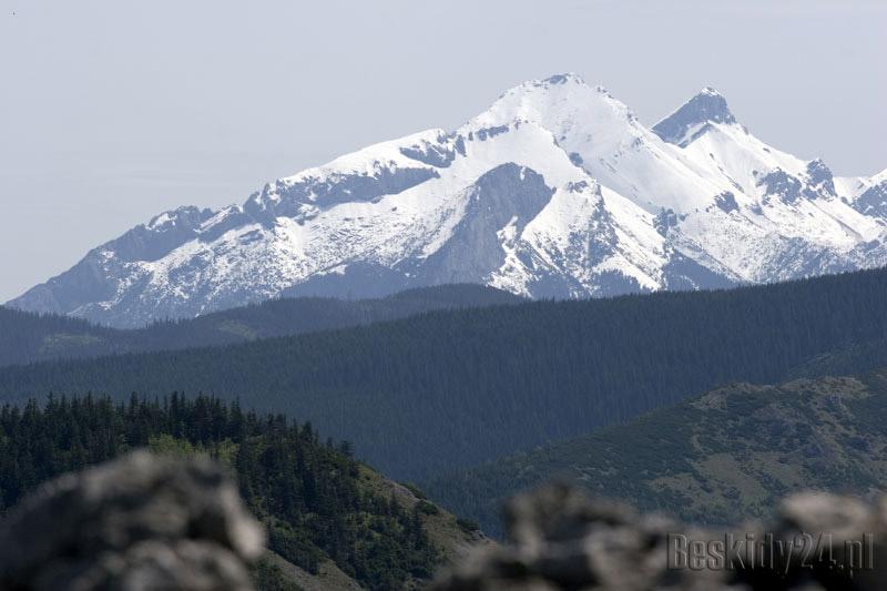 Cepry zadeptały Tatry i wyjechały do domu