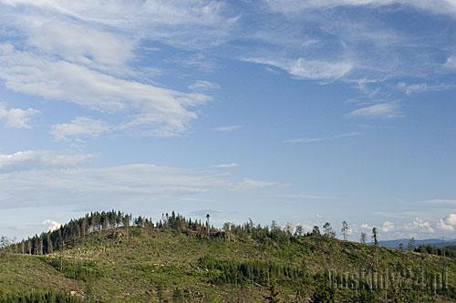 Przez Beskid Śląski Przez Beskid Śląski