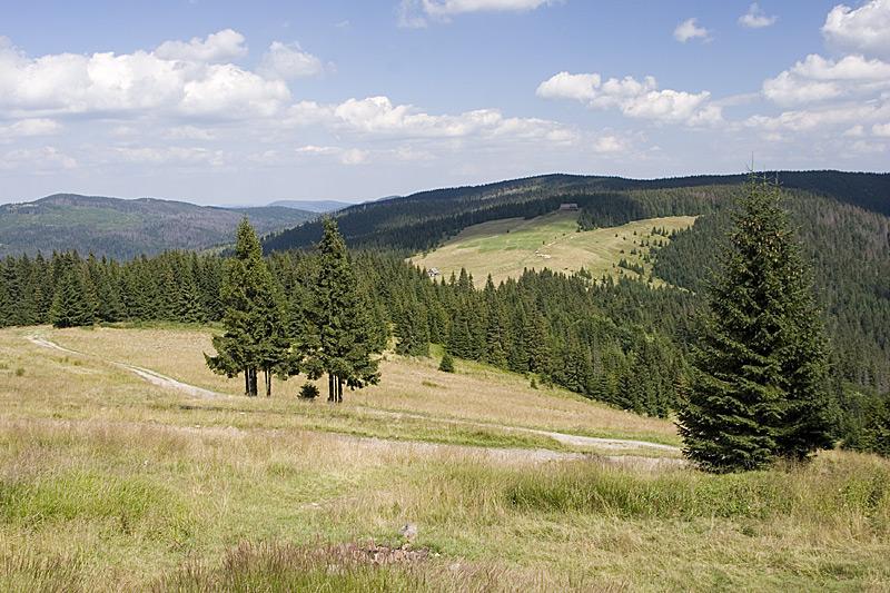 GSB - Dzień VIII (Gorce) GSB - Dzień VIII (Gorce)