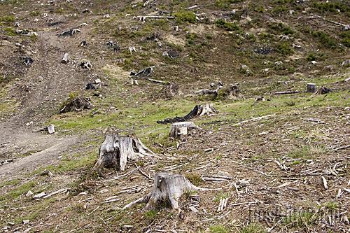 Zmiany klimatyczne kontra nasze zdrowie Zmiany klimatyczne kontra nasze zdrowie