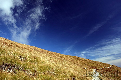 Fot.: Arch. Beskidy24.pl