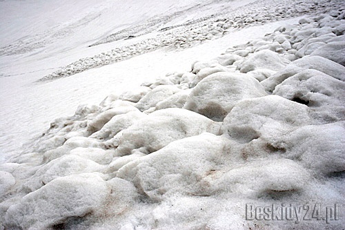 Lawiniska w Dolince Pustej w Tatrach  Fot.: Arch. Beskidy24.pl