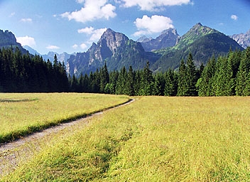 Polana Biała Woda (Słowacja) Polana Biała Woda (Słowacja)