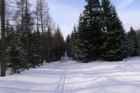 trwa-ogolnopolskie-badanie-biegajacych-na-nartach-biegowych
