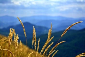 Bieszczady – idealne miejsce, by spędzić urlop z dala od zgiełku Bieszczady – idealne miejsce, by spędzić urlop z dala od zgiełku