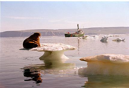 Zmiany klimatu - raport greenpeace Zmiany klimatu - raport greenpeace