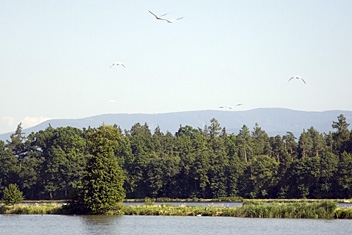 Jezioro Goczałkowickie udostępnione dla turystów