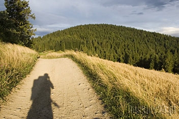 Fot.: Arch. Beskidy24.pl