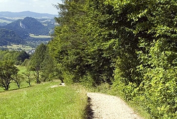 Fot.: Arch. Beskidy24.pl Fot.: Arch. Beskidy24.pl