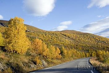 Fot.: Arch. Beskidy24.pl