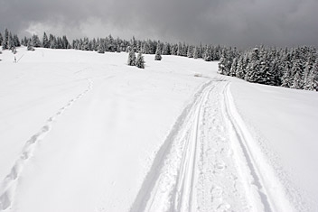 Fot.: Arch. Beskidy24.pl Fot.: Arch. Beskidy24.pl