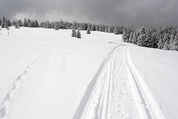 Fot.: Arch. Beskidy24.pl